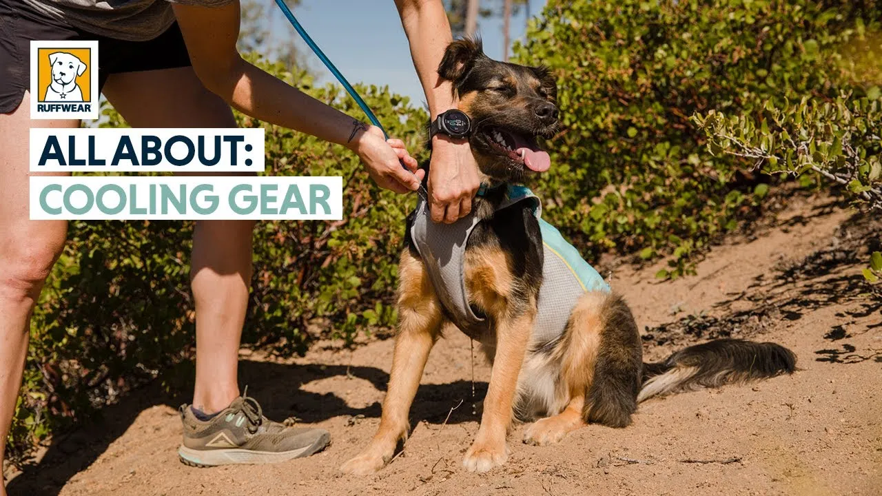 RuffWear - Swamp Cooler Dog Jacket - XX Small